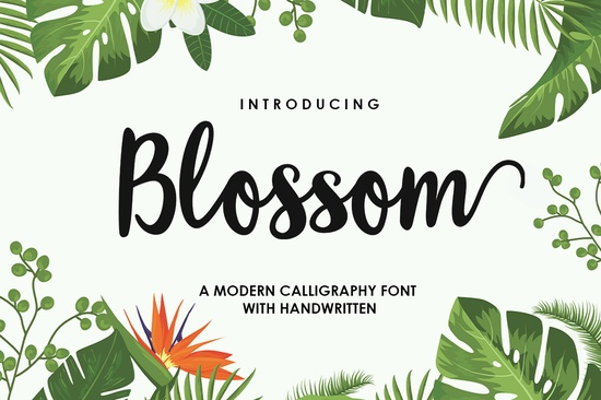 Blossom Script Font  Font